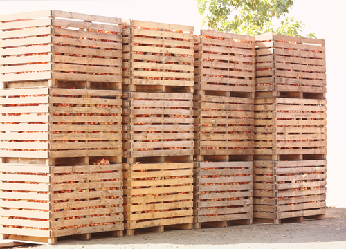 wooden crates harvested onion