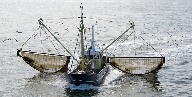fishing boat dragging nets through water