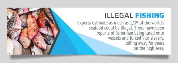 illegal fishing graphic