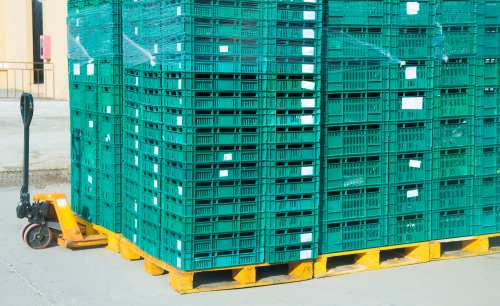 green plastic pallets