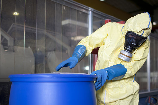 Experts disposing infested material