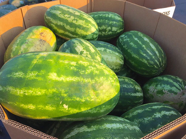 Watermelons in a box pallet