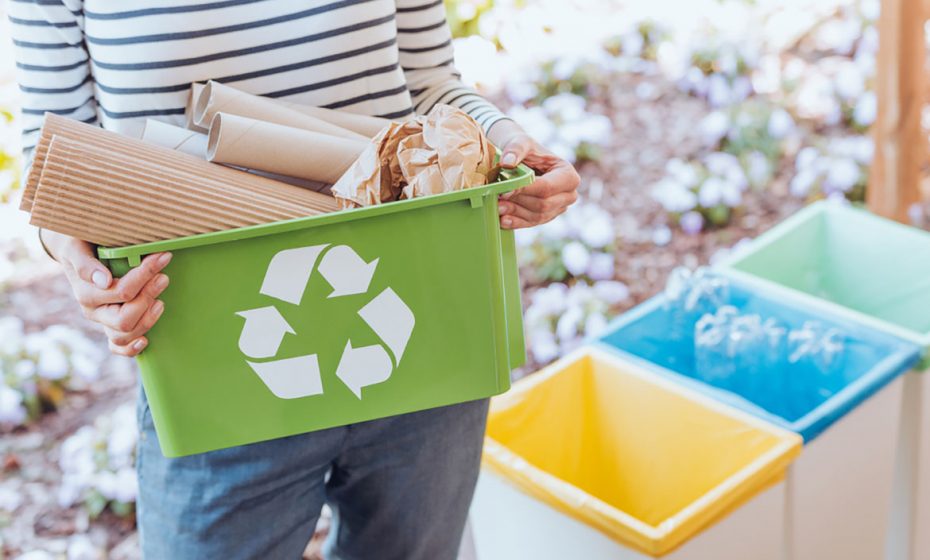 6 Tips to Choosing Packaging Materials for a Green Supply Chain