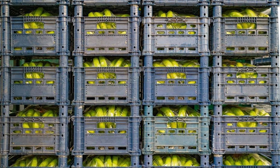 6 Tips on How to Ship Produce for the Food Industry