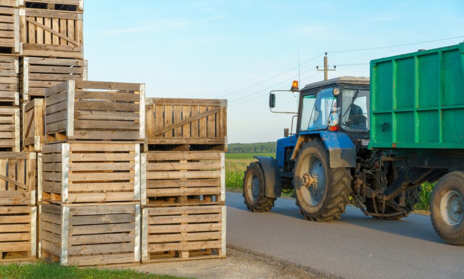 10 Things to Keep in Mind Before Buying Wooden Shipping Crates 