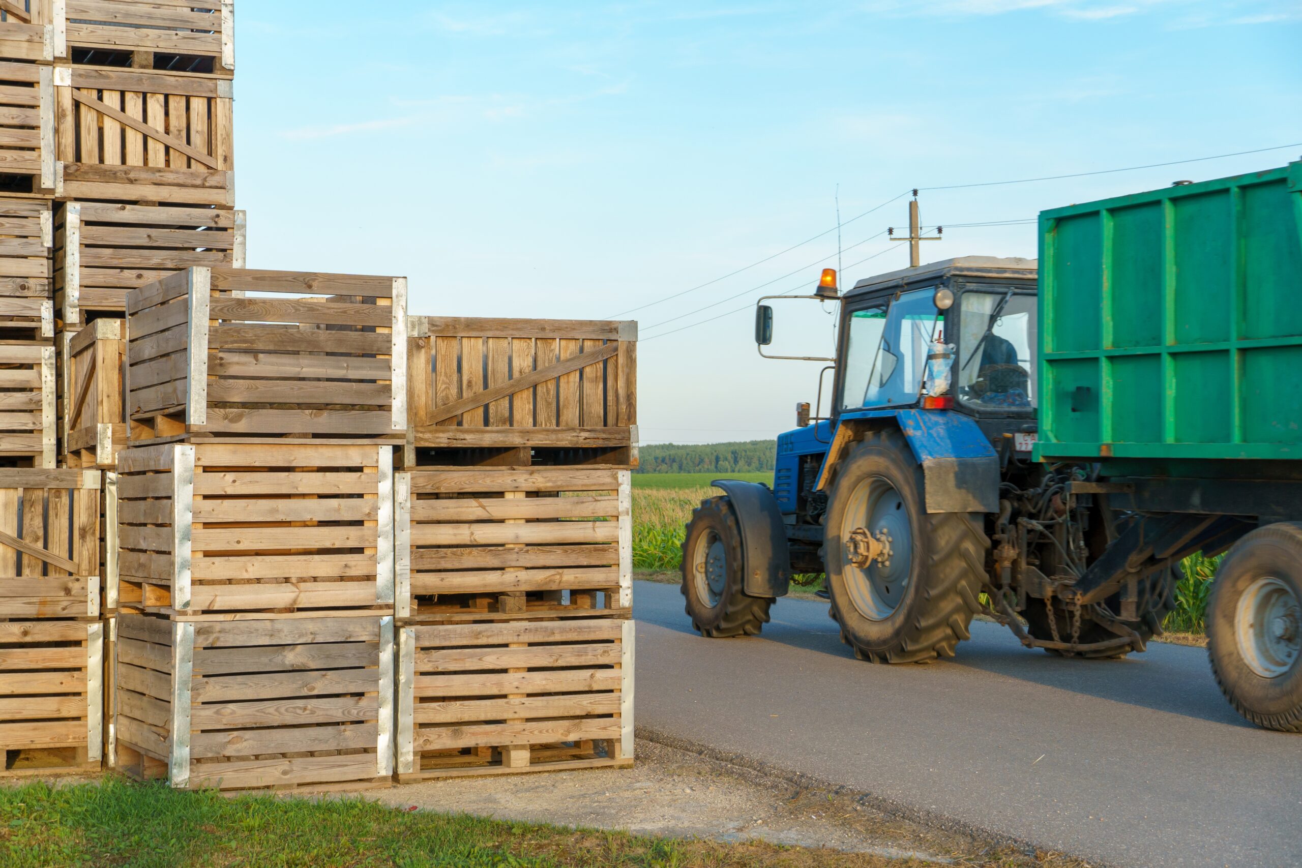 10 Things to Keep in Mind Before Buying Wooden Shipping Crates 